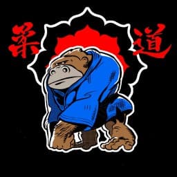 Vital Brothers Judo logo