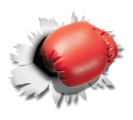 Warriors Boxing Academy logo
