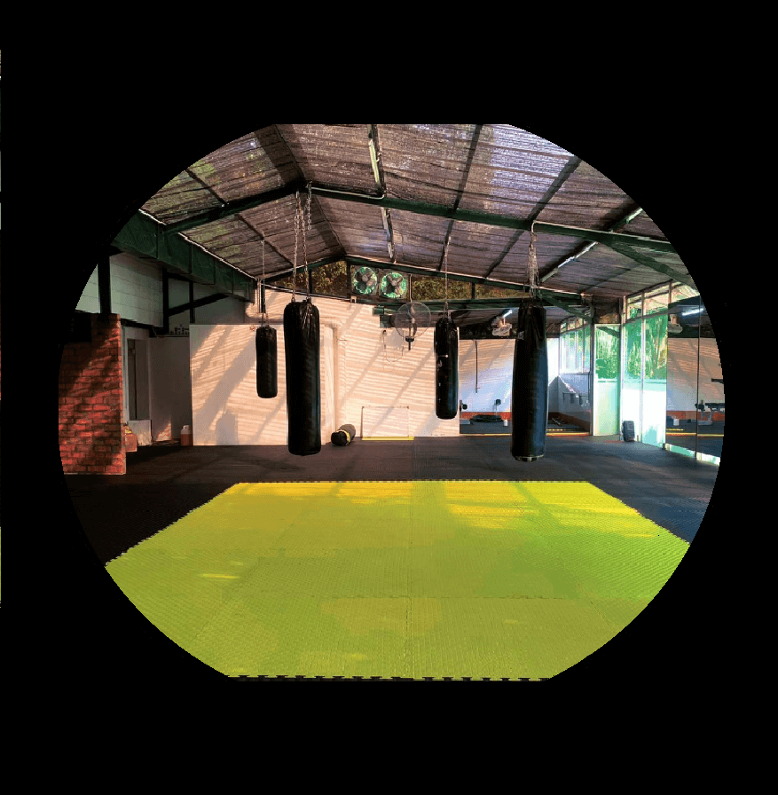 Main image of Wasp MMA Gym