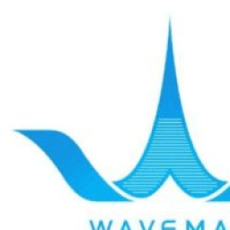Waveman Jiu Jitsu logo