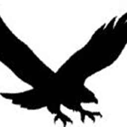 Waverly Shell-Rock High School (Girls) logo