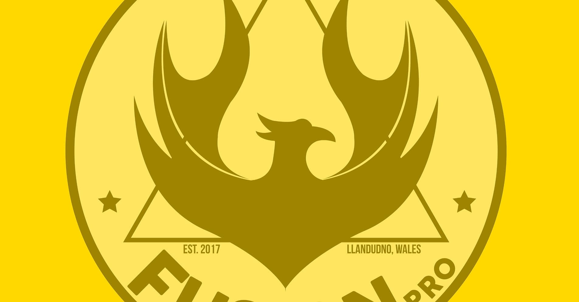 Welsh Wrestling School logo