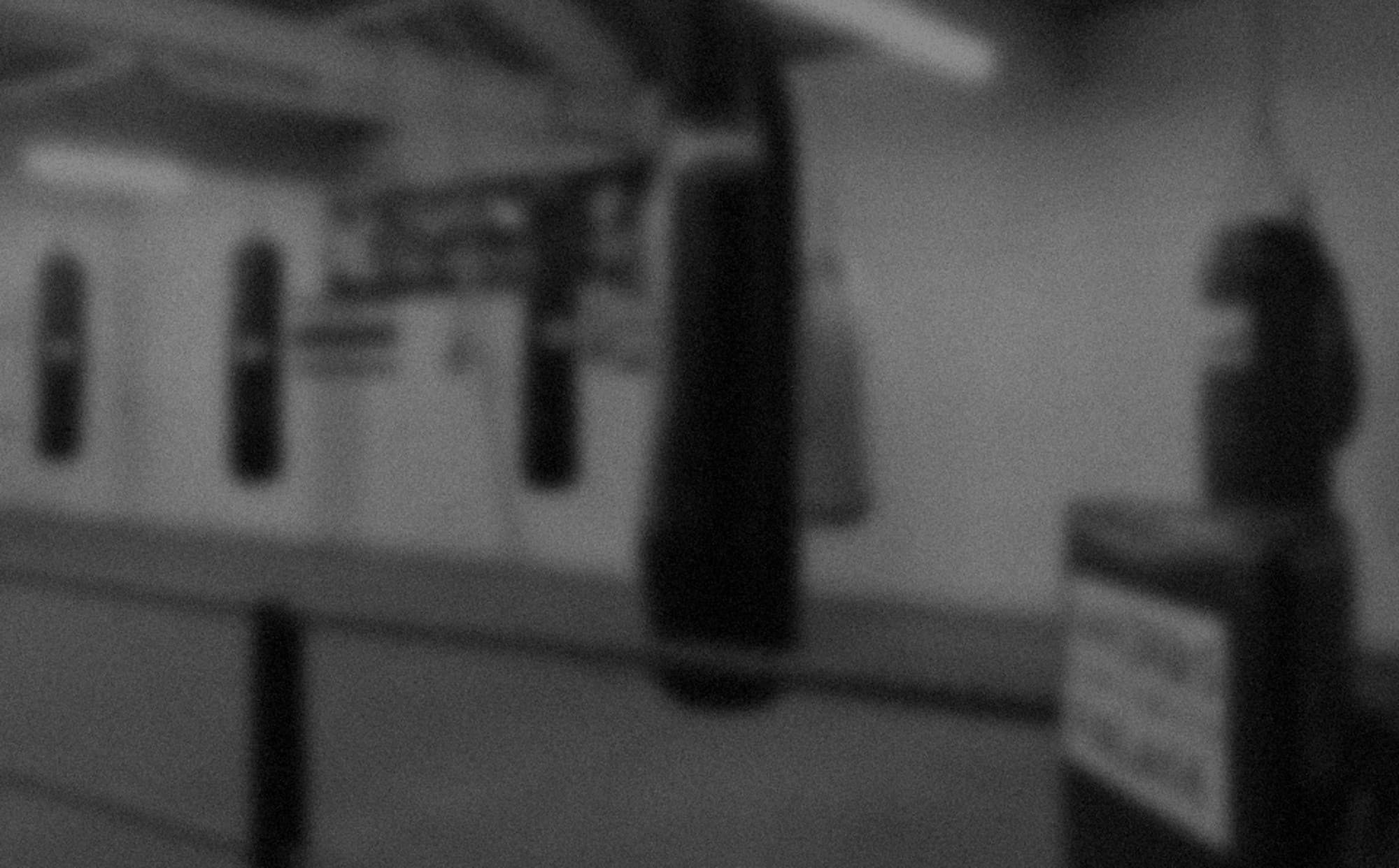 West Leeds Muay Thai & Mags Performance Centre logo