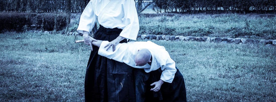 Main image of 白薔薇合気会御所南道場 | White Rose Aikikai - Gosho Minami Dojo