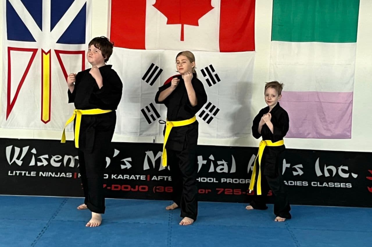 Main image of Wisemans Martial Arts