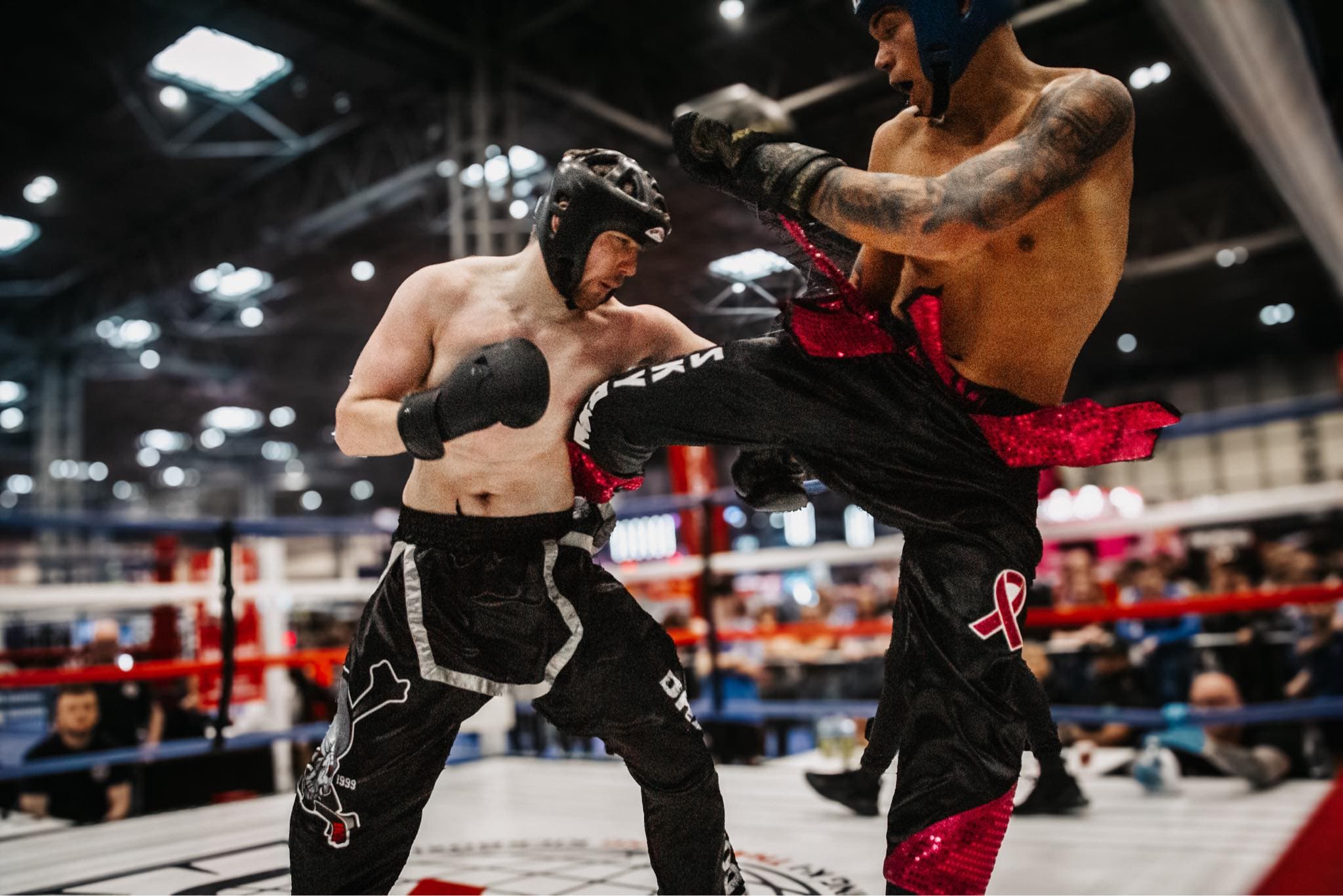 Main image of World Kickboxing Organisation