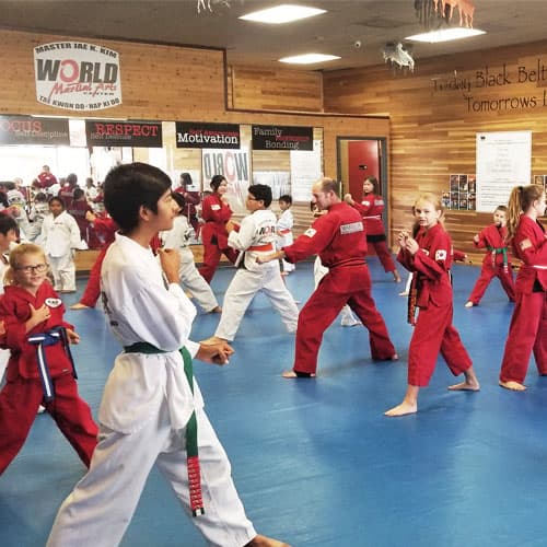 Main image of World Martial Arts Orange County