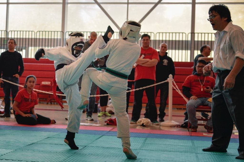 World Oyama Karate logo