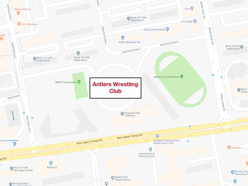 Main image of Wrestling Federation of Singapore