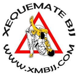 Xequemate logo