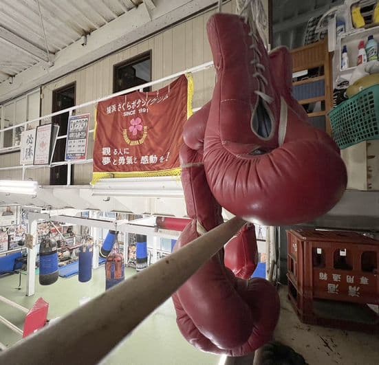 Main image of Yokohama Sakura Boxing Gym