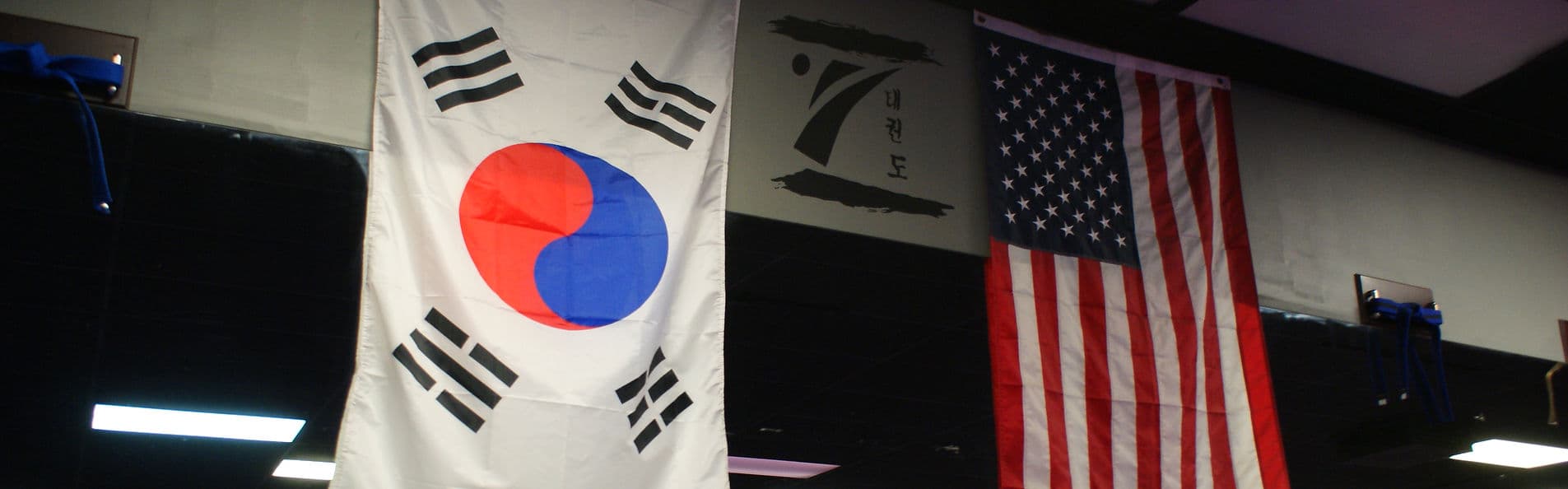 Z Tae Kwon Do logo