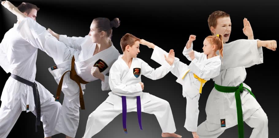 Main image of Z-Ultimate Self Defense Studios