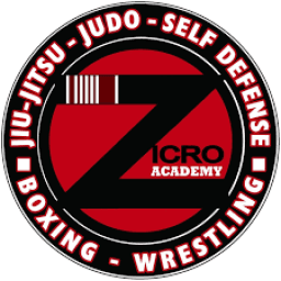 Zicro Academy logo
